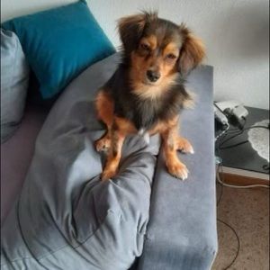 Meet your Posher, Ingrid